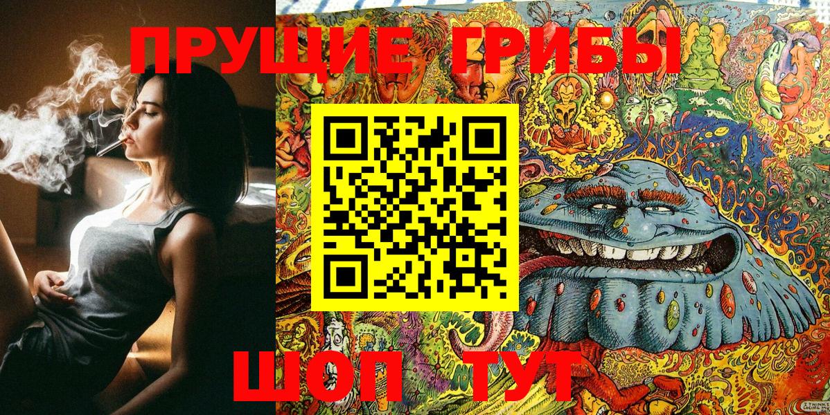 Галлюциногенные грибы GOLDEN TEACHER Балтийск